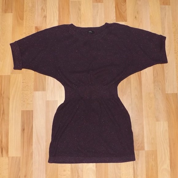 express mini sweater dress